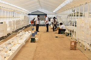 2022年10月 野菜栽培の土壌作り作業