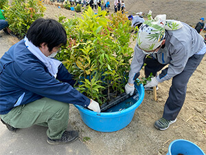 鎮守の森のプロジェクト　植樹の様子