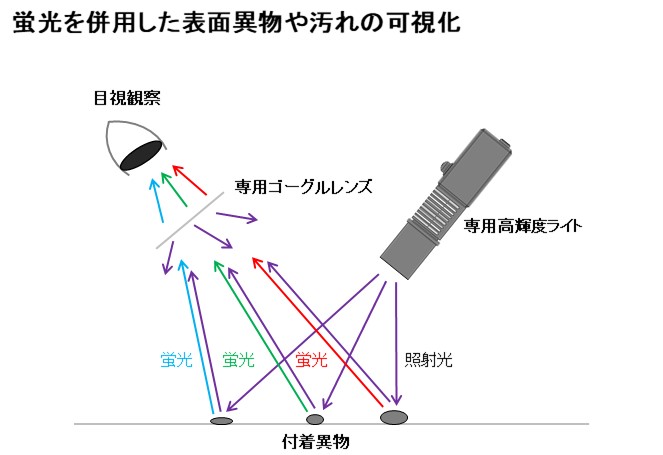 蛍光色によって汚染の蛍光をしることができます