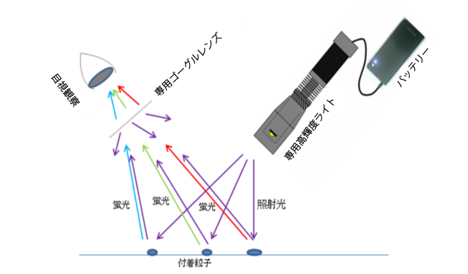 図１「Dライト」の概要